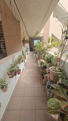 Hillview Heights (D23), Condominium #538813851